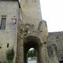 IMG 1549