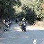 IMG 7342