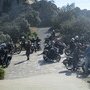 IMG 0838