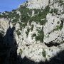 IMG 0939