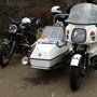 IMG 0613