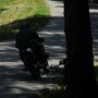 IMG 2029