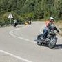 IMG 7254