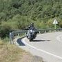 IMG 7279