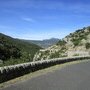IMG 0907