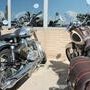 IMG 7292