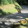 IMG 1802