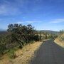 IMG 0848
