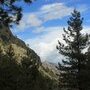IMG 5271