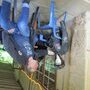 IMG 1555