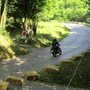 IMG 1787