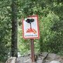 IMG 5506