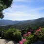 IMG 0868