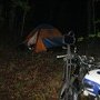 camping dans les bois