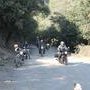 IMG 7341