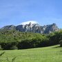 IMG 0920