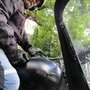 IMG 1569