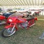 IMG 1966