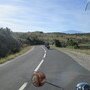 IMG 0857