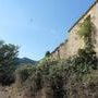 IMG 7325