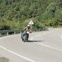 IMG 7260
