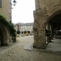 IMG 1697