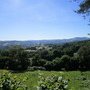 IMG 1778