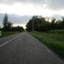 IMG 1661
