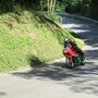 IMG 1913