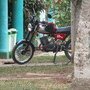 IMG 3508