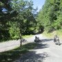 IMG 0892