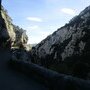 IMG 0941