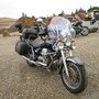 IMG 0595