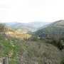 Les gorges , les causses