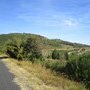 IMG 0856