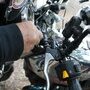 IMG 7207