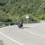 IMG 7249