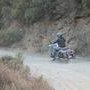 IMG 7351