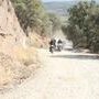 IMG 7311